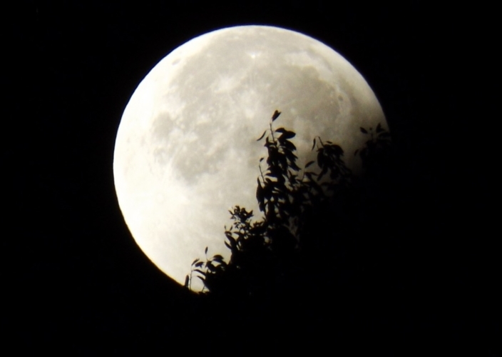 Eclissi Di Luna Penombrale Atteso Il 5 Giugno L Ennesimo Spettacolo